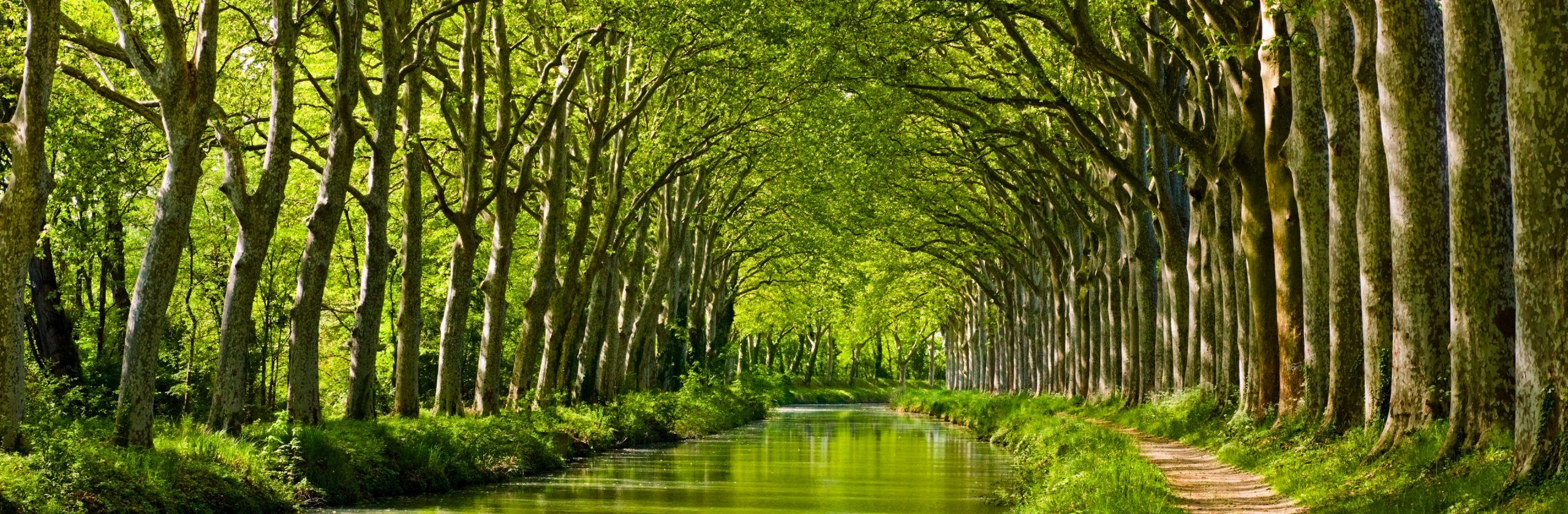 Canal du midi by bicycle